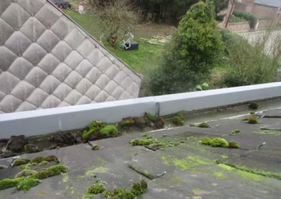 Toiture en ardoise montrant des signes de vétusté avec de la mousse, nécessitant une rénovation.